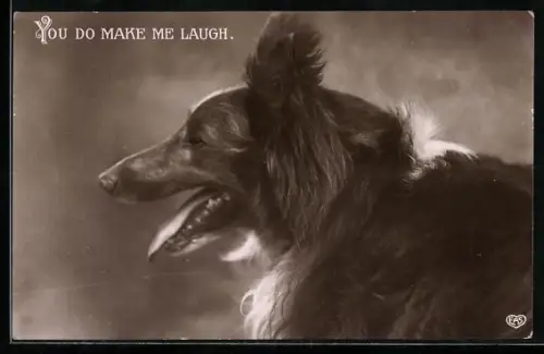 AK You do make me laugh, Collie