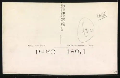 Foto-AK Pekinese auf einem Sitzmöbel