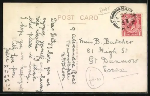 AK Windhund, Seitenportrait