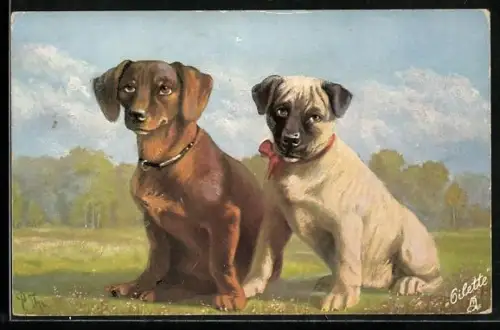 AK Dackel mit Gefährte auf einer Wiese, Portrait