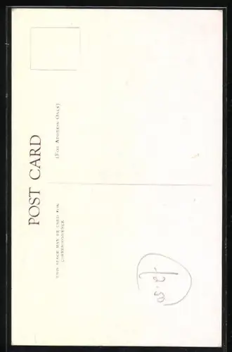 AK British Museum, Raft Spider, Female