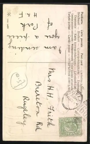 Präge-AK Zwei Schweine im Grünen, Wiese mit Klee, Futterschüssel, Glücksklee, Weihnachtsgruss