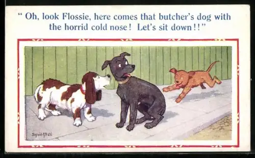Künstler-AK Donald McGill: zwei Hunde blicken auf einen rennenden Hund