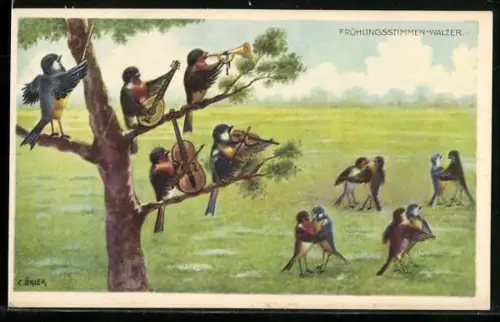 Künstler-AK C. Öhler: Frühlingstimmen-Walzer, vermenschlichte Vögel musizieren und tanzen