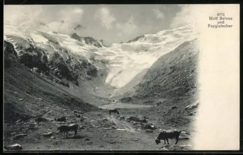 AK Mott Selvas und Fexgletscher