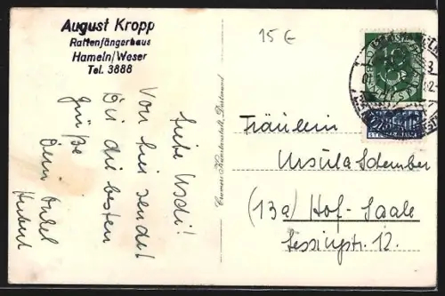 AK Hameln, Gesamtansicht, Rattenfängerhaus und grosse Ratte, Rattenfängergruss