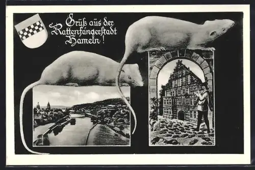 AK Hameln, Rattenfängerhaus, Ratten, Wappen, Ortsansicht
