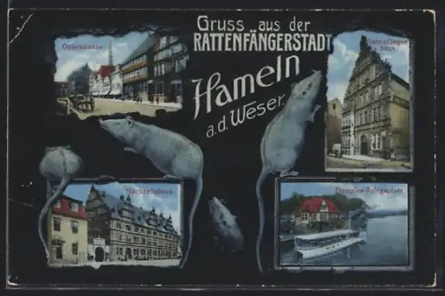AK Hameln /Weser, Rattenfängerhaus, Hochzeitshaus, Ratten