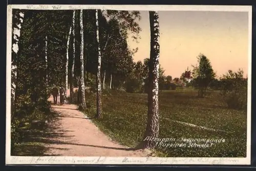 AK Altruppin, Seepromenade mit Blick zum Ort