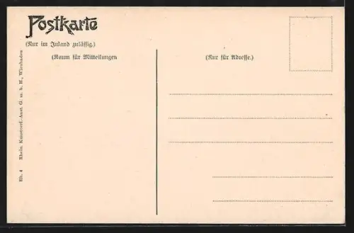 AK Bacharach am Rh., Ortsansicht aus der Vogelschau