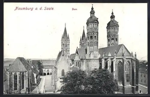 AK Naumburg / Saale, Domansicht