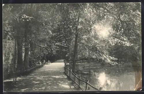 AK Bad Hersfeld, Partie in den Anlagen am Teich