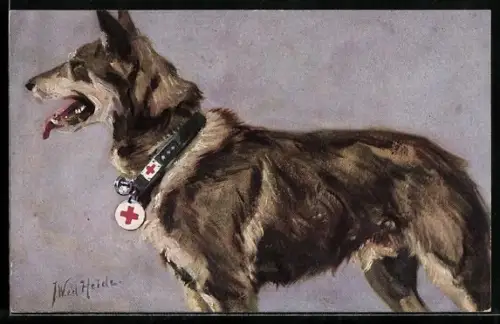 Künstler-AK Sanitätshund im Felde, 1. Deutscher Schäferhund