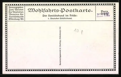 Künstler-AK Sanitätshund im Felde, 1. Deutscher Schäferhund