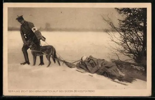 AK Sanitätshund zieht seinen verwundeten Soldaten auf den Skiern seines Führer