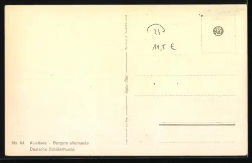 AK Deutsche Schäferhunde verschiedener Farbschläge