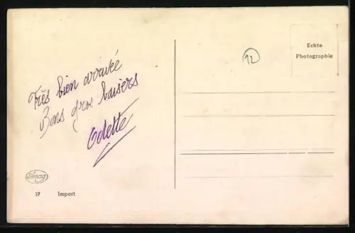 AK Liegender entspannter Schäferhund