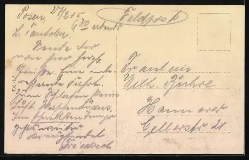 AK Posen, Königliches Residenzschloss mit Teich und Anlagen