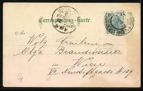 Lithographie Prag / Praha, Ansicht vom Museum