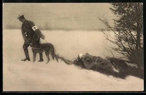 AK Der Hund zieht den Verwundeten auf den Skiern seines Führers, Sanitätshund