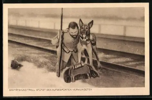 AK Sanitätshund Troll stützt den aufgespürten Verwundeten