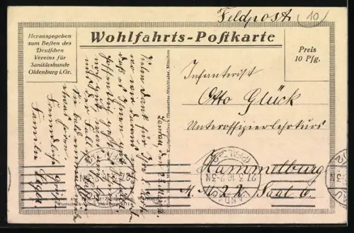 AK Sanitätshunde bei der Rast auf einer Wiese