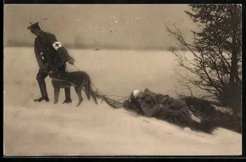 AK Sanitätshund zieht seinen verwundeten Soldaten auf den Skiern seines Führer