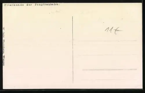 AK Polarhunde der Jungfraubahn, Schlittenhunde