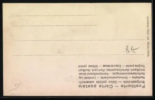 AK Wurf der Hunderasse Rattler