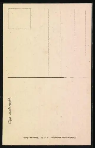 AK Typ matoruski, Polin