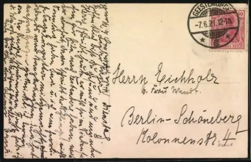 AK Zwei Cockerspaniel mit einem Terrier