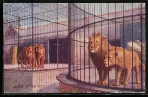 Künstler-AK Löwen und Tiger in Käfigen