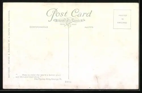 Künstler-AK Löwen und Tiger in Käfigen