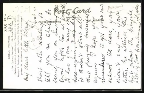 AK Vickers Wellingtons Bombers, Flugzeug