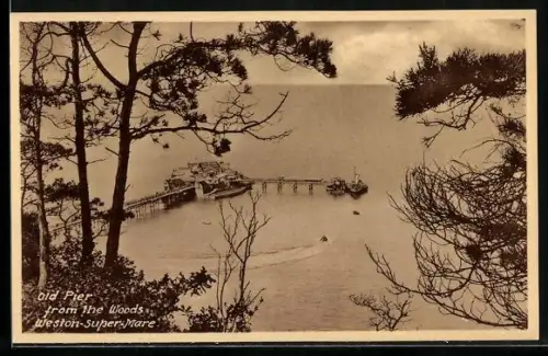 AK Weston-super-Mare, Old Pier from the Woods