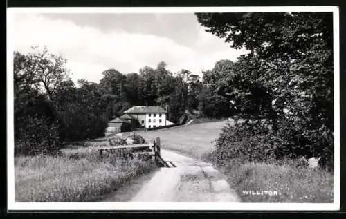 AK Williton, Panorama mit Feldweg