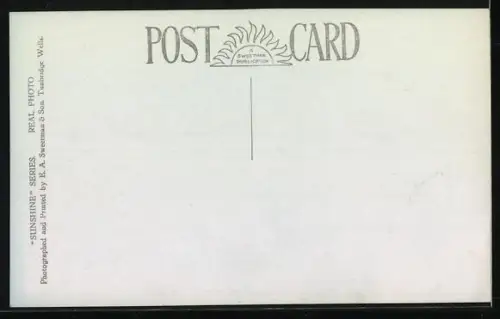 AK Bossington, Giant Walnut Tree