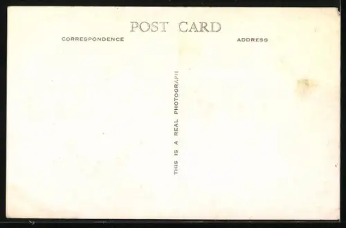 AK Paignton, Palace Hotel