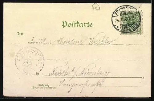 Lithographie Frankfurt /Main, Gutenberg-Denkmal, Kaiserstrasse mit Springbrunnen, Blumen