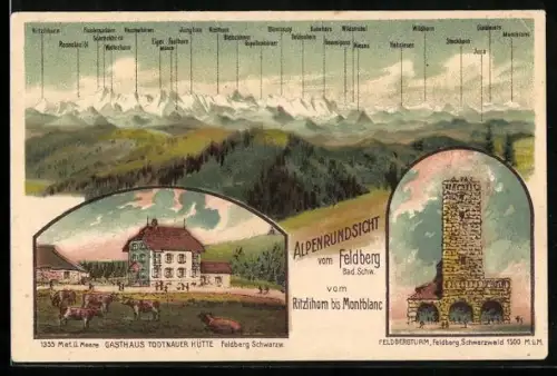 Lithographie Feldberg / Schwarzwald, Feldbergturm, Gasthaus Todtnauer Hütte, Alpenpanorama