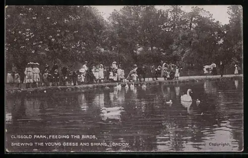 AK London, Clissold Park, Feeding the Birds, Shewing the young Geese and Swans