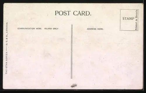 AK London, Clissold Park, Feeding the Birds, Shewing the young Geese and Swans