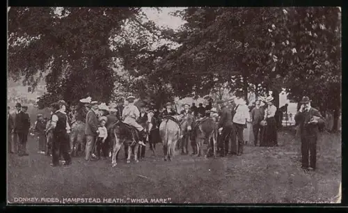 AK London, Hampstead Heath, Donkey Rides
