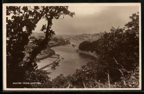 AK Whitby, Panorama from Larpool