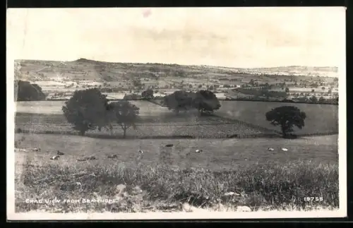 AK Bramhope, Crag view