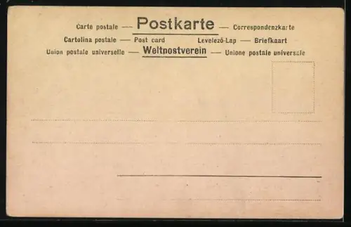 AK Sophie von Hohenberg und Erzherzog Franz Ferdinand