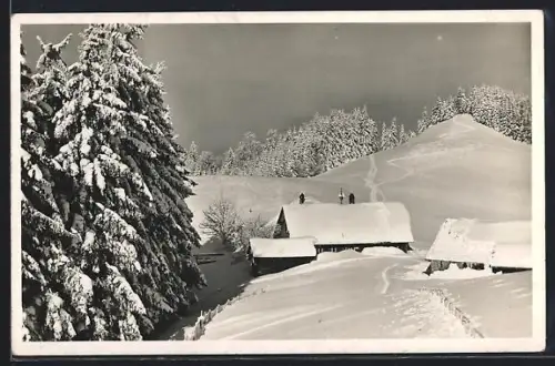 AK Schletter-Alpe am Schwarzen Grat, Berghütte, Ansicht im Winter