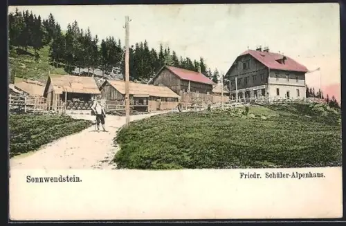 AK Friedrich Schüler-Alpenhaus /Sonnwendstein, Ansicht mit Wanderer