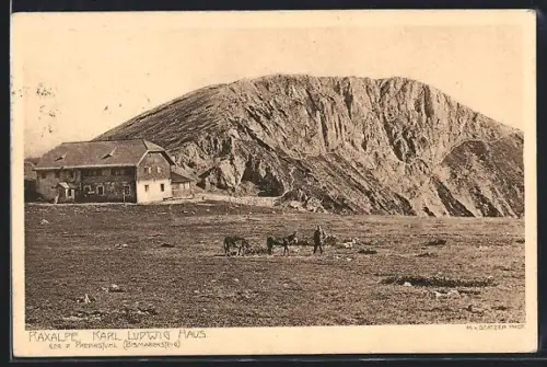 AK Karl Ludwig Haus /Raxalpe, Ansicht mit Berg und Eseln