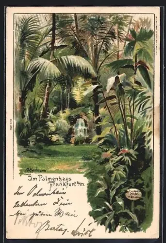 Künstler-AK Frankfurt-Westend, Palmenhaus, tropische Pflanzen, Wasserfall